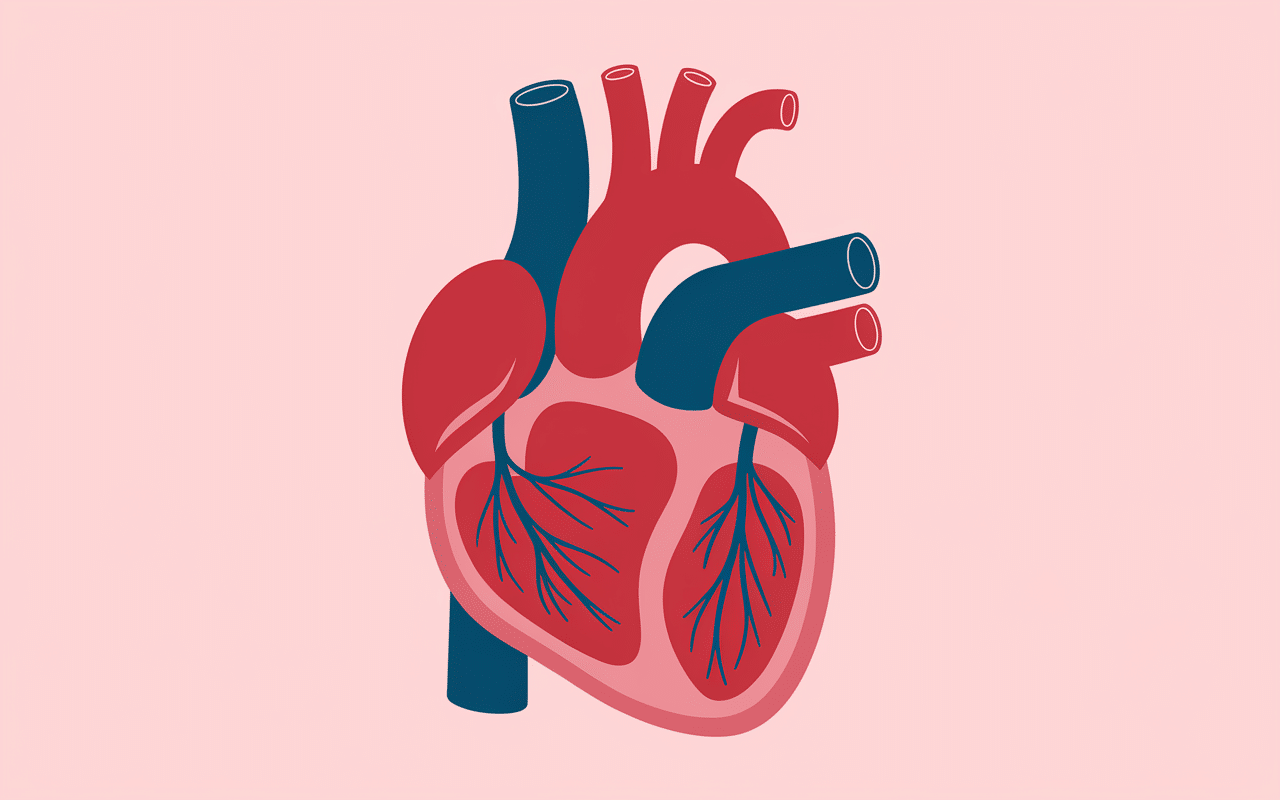 VO2 max faible danger schéma cardio-vasculaire