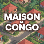 vue aérienne quartier résidentiel congo maison