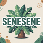 Illustration de senesene plante tropicale usages et origines