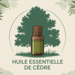 huile essentielle de cèdre danger flacon illustration