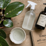 Traitement cochenille vinaigre blanc : pulvérisateur et plantes en pot